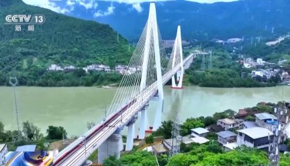 年中经济观察丨说走就走的底气何来？秘密就在这张越织越密的“网”中