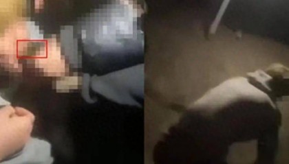 甘肃16岁男生遭多人欺辱殴打，被逼跪地爬行学狗叫