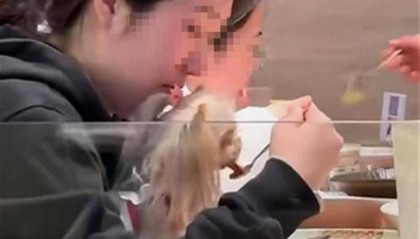 常州一家餐厅内食客用餐具喂狗，店方：中途发现后制止，餐具已报废处理