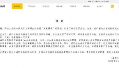 一家十几口，打架上了热搜？