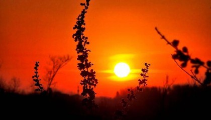 抬头看！北京清晨的天空中挂着一轮红彤彤的太阳