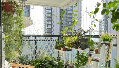 老婆非要把阳台改成花园，被全家人坚决反对，入住后才发现太香了