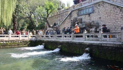 黑虎泉喷得“兽头”都不够用了！济南群泉竞涌，几十年一见