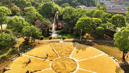 【央视快评】奋力谱写供销合作事业高质量发展新篇章