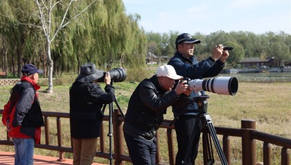 七旬退休大爷痴迷“打鸟”，宁可不吃不喝也要花几万元升级装备