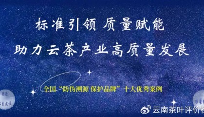 津乔“冰岛老寨1485古茶园”区块链数字存证源头质量保荐溯源正式启动