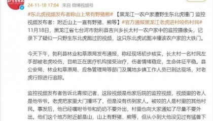 东北虎视频发布者：山上常有野猪、熊