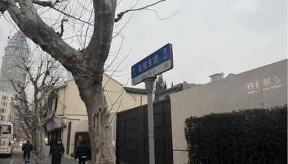 马来西亚首富之子买上海大平层 449平米1.17亿元