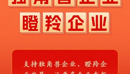 政府工作报告中的新词“瞪羚企业”，是什么意思