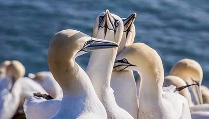 泽连斯基称乌克兰有射程3000公里的国产导弹,普京回应