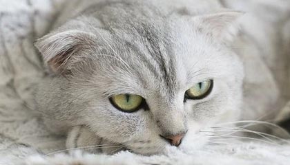 财米油盐｜直击“新包邮区”物流旺季！看西部“购物车”里都有啥？