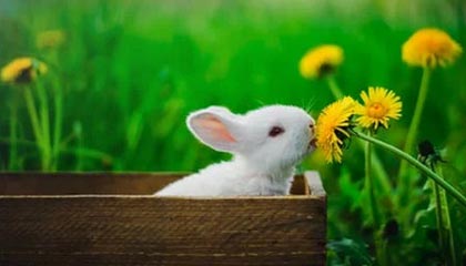 福建天晴在线互动申请一种区块链中防中间人攻击的专利，能有效防止中间人攻击提高数据安全