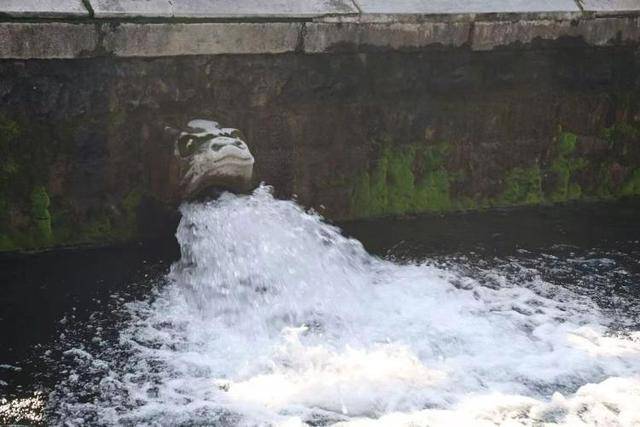 黑虎泉喷得“兽头”都不够用了！济南群泉竞涌，几十年一见