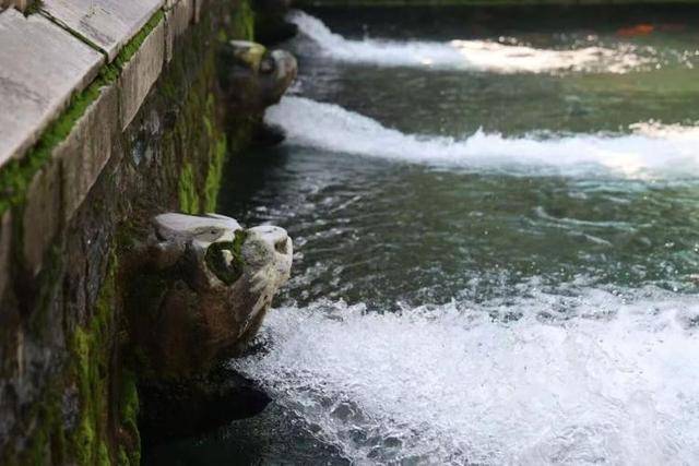 黑虎泉喷得“兽头”都不够用了！济南群泉竞涌，几十年一见