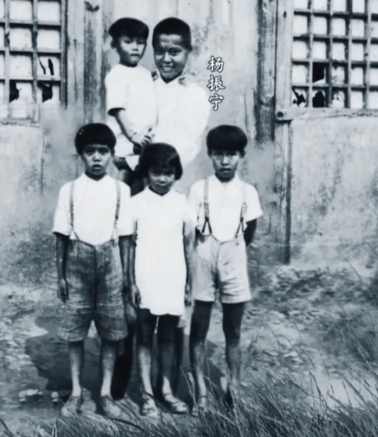 103岁杨振宁去世，象牙塔倒塌