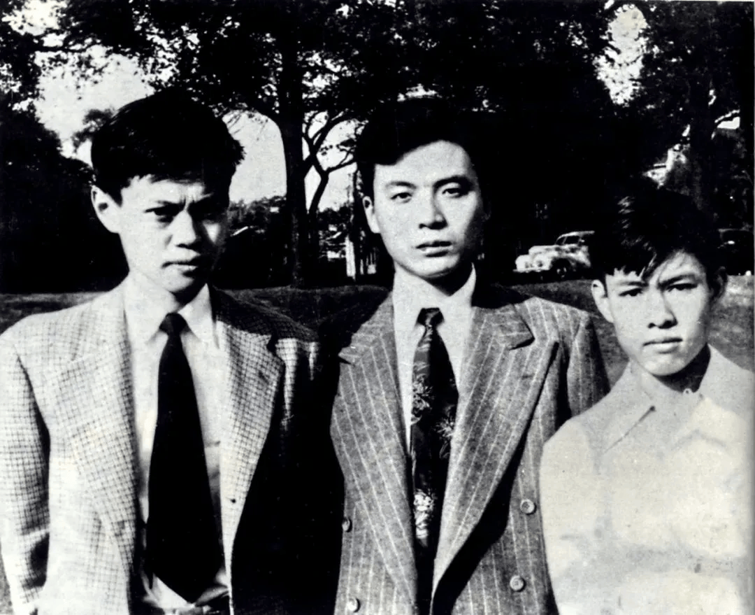 103岁杨振宁去世，象牙塔倒塌