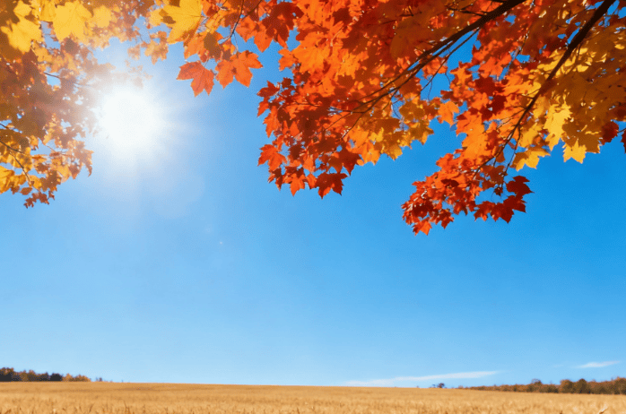 今、明天晴朗持续！早晚寒意浓、最低气温冰点上下，保暖要注意！