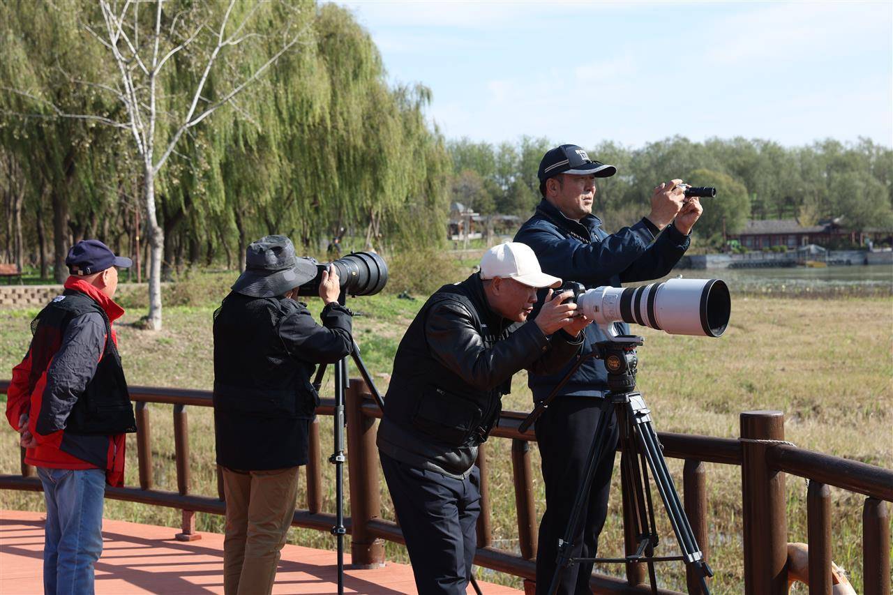 七旬退休大爷痴迷“打鸟”,宁可不吃不喝也要花几万元升级装备