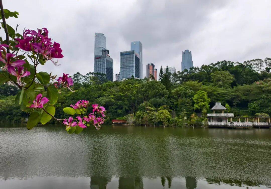 8.7℃冻哭!霜降广西现下半年最冷早晨,回暖时间→